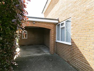 Picture 26